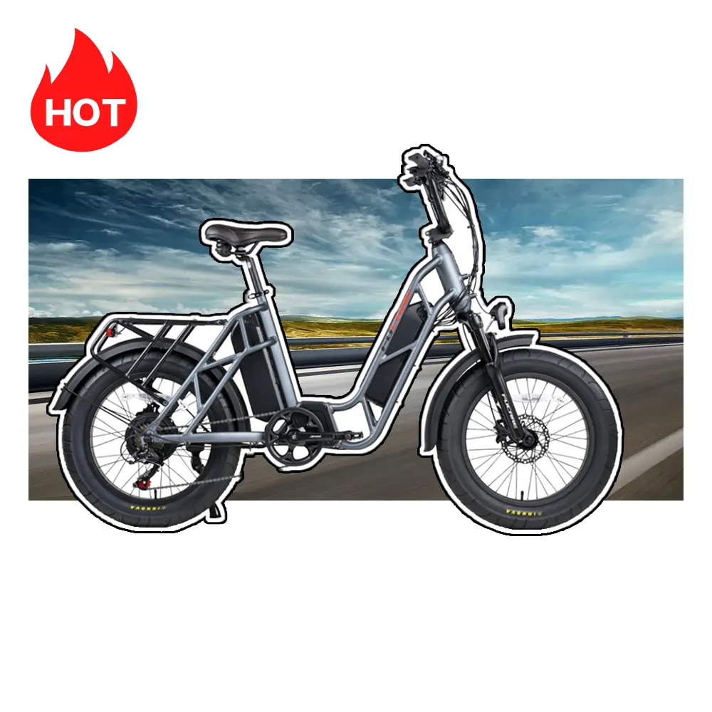 Best Seller 250W 350W 500W 750W 1000W E Fat Bike all'ingrosso 36V 48V Basket bicicletta da spiaggia prezzo basso bici elettriche da città