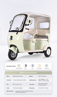 Tricycle électrique pour adultes 650W, populaire, multicolore, compact, facile à stationner, avec auvent contre le vent et la pluie, idéal pour les routes étroites