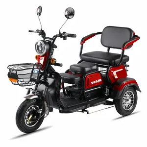 Triciclo elétrico de alta edição para passageiros, bicicleta de 3 rodas EV, motocicleta, motocross, motociclismo, motociclismo, 600 W, 48 V, para adultos, motorizado, para dirigir