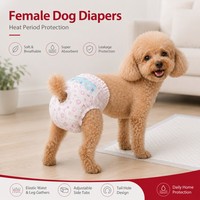 Großhandel Einweg-Hundewindeln für Weibchen Superabsorbierend Auslaufsicher Elastischer Bund für Hunde in den Zeiten des Brunnes und bei Inkontinenz XXS-XL OEM ODM