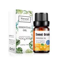 Huile Essentielle Pure et Naturelle d'Herbes Chinoises pour Soins de Beauté, Arôme Boisé, Racines de Costus, Huile de Saussurea Lappa