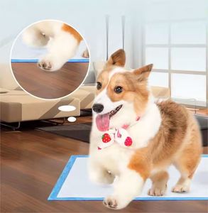 China Supplier Cheap ODM/OEM High Absorption Disposable Pet Supplies Dog Pee <b>Puppy</b> Pet Training Disposable Urine <b>Pad</b> - Product Image 4