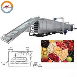 Automatic mesh belt type fruit and vegetable drying machine dehydrated dried fruits vegetables tunnel conveyor dryer dehydrator