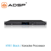 Processeur audio DSP professionnel ADSP, amplificateur de voiture 4 canaux en métal, certificat CE, 96 kHz, double écho + réverbération, 15 W, USB/