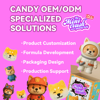 Boîte Mystère de Bonbons Guimauves Shiba Inu – Fabrication OEM/ODM Personnalisée – Jouet Surprise – Bonbons aux Saveurs Personnalisables