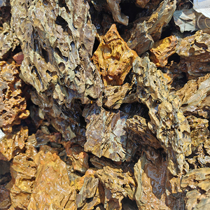 Bền vững Pine Bark đá thân thiện với môi lớn thiết kế cổ điển cho ngoài trời Vườn dự án Aquarium thiết lập và trang trí - Product Image 6