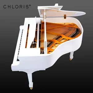 Kloris Jerman FFW Bulu Putih Grand Piano HG-160W Harga Piano Bayi Grand
