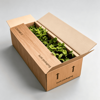 Boîte d'expédition personnalisée en carton ondulé pour plantes vivantes, écologique, pour plantes en pot, succulentes, emballage en carton pour plantes vivantes
