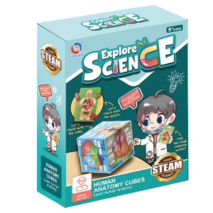 Juego de Órganos Humanos para <span class=keywords><strong>Educación</strong></span> Temprana, Juguete Educativo de Ciencia para Estudiantes de <span class=keywords><strong>Primaria</strong></span> <span class=keywords><strong>y</strong></span> <span class=keywords><strong>Secundaria</strong></span>, Rompecabezas DIY, Juguetes Cognitivos - Product Image 2