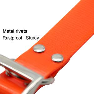 Hochwertige kleine verstellbare Nylon-Hunde halsbänder mit TPU-Gurtband und Schnalle Wasserdicht für Jagd-und Lauf bedarf - Product Image 2