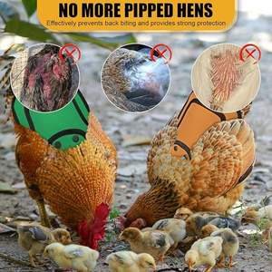 Selle de protection dorsale Beckon Custom 600D Oxford pour poules avec sangle réglable – Idéale pour l'accouplement des poulets - Product Image 5