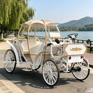Chariot de Cendrillon électrique blanc pour les séances photo de mariage et les excursions touristiques dans les lieux pittoresques - Product Image 1