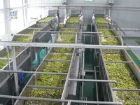 Ligne de Production de Machines pour la Fabrication de Pâte, Purée, Pulpe, Jus, Sauce, Ketchup et Confiture de Tomate, Mangue, Kiwi, Fraise – Prix Usine