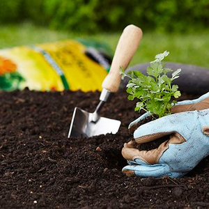 Бесплатный образец, полиакрилат натрия, супер абсорбирующий полимер, сельскохозяйственная смола для почвы - Product Image 4