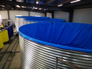 Gegalvaniseerd Paneel Met Pvc-Zwembadcirkel Rivierkreeftentankkweekvijver - Product Image 3