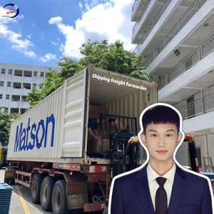 China Arabia Saudita Emiratos Árabes Unidos Bahrein Qatar Kuwait Omán Servicio de transporte marítimo puerta a puerta DDP LCL + Express - Product Image 4