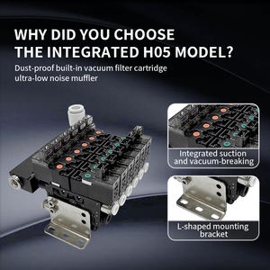 Grupo de válvulas de alto flujo multietapa <span class=keywords><strong>serie</strong></span> Wenjin WJHO5 con pantalla digital Generador de vacío integrado para succión y ruptura - Product Image 5