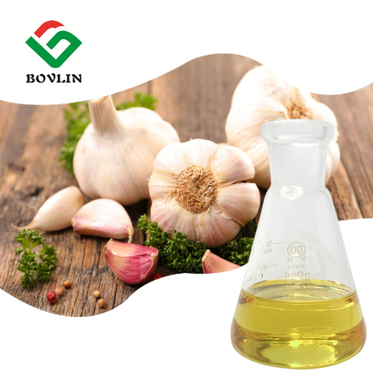 Factory Supply Natural Garlic Extract Essential Oil 100% Pure Garlic Oil