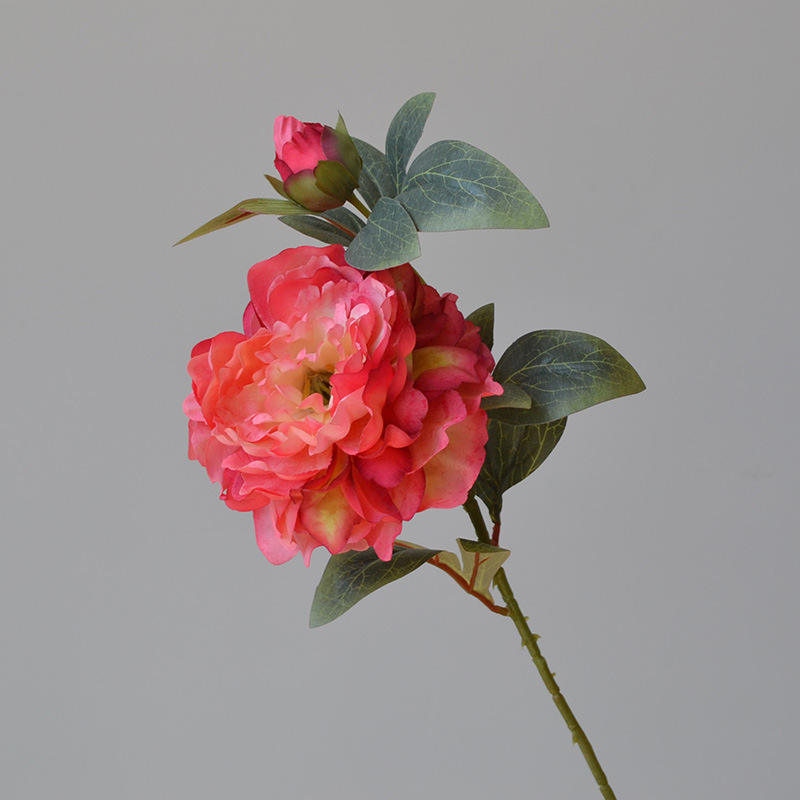 กุหลาบต้นแมดเด