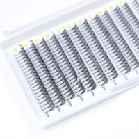 Premade Volume Fans Comic Premade Fans Feathered Soft Fluffy Dark Matte Lash Extensions Spire Lash