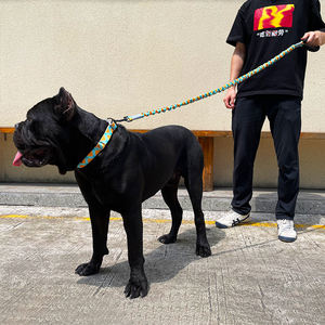 Correa personalizable popular barata a prueba de explosiones para perros grandes y <span class=keywords><strong>collar</strong></span> ajustable al por mayor de cuerda para mascotas - Product Image 2