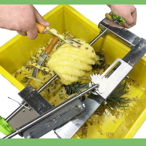 เครื่องปอกสับปะรดแบบมือหมุน,เครื่องปอกเปลือกสับปะรดขนาดเล็กเครื่องปอกเปลือกมือ <span class=keywords><strong>Ananas</strong></span> Comosus เครื่องปอกเปลือก - Product Image 6