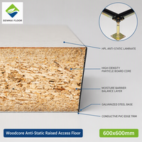 Système de plancher surélevé conducteur ESD Woodcore, panneau de plancher antistatique pour centre de données, salle informatique SENMAI