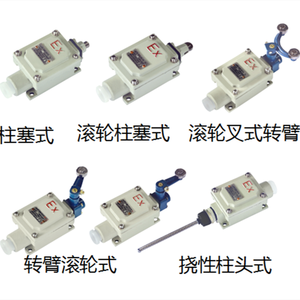 Công Tắc Giới Hạn Chống Ăn Mòn Chống Nổ Được Atex Phê Duyệt 220V 5A Lx5 - Product Image 5