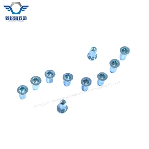 Bán Buôn Nhỏ Chìm Đầy Đủ Lục Giác Đinh Tán Nut Carbon Thép Mạ Kẽm Nut Với Hex Đầu Phẳng Cho Chăm Sóc Sức Khỏe Các Ứng Dụng - Product Image 5