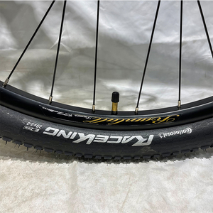 Bicicleta de Montaña Fat Delivery de 29 Pulgadas con Suspensión Completa / Cuadro 29er / Bicicleta MTB de 29'' CF-304 de Carbono / Bicicleta de Montaña - Product Image 6