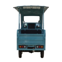 Triciclo eléctrico de pasajeros de cuerpo abierto de camión compacto Piaggio Ape con techo 700W Cargo E-trike