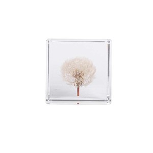 บล็อกดอกแดนดิไลออนอะคริลิก 6 ซม. 8 ซม. ของตกแต่งบ้าน ของขวัญดอกไม้สุดสร้างสรรค์ - Product Image 4