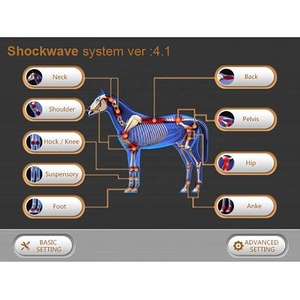 2024 Stable Quality Vet Use Electromagnetic Shockwave Therapy for Horse - Product Image 3