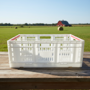 Caisses pliables économiques pour la récolte quotidienne des fermes rurales et l'expédition vers le marché - Product Image 2