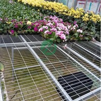 Bancs roulants hydroponiques pour l'agriculture en intérieur supports de culture verticaux et plateaux d'inondation pour les tables d'inondation/reflux de laitue