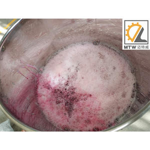 MTW-máquina de llenado automático de miel, manual, pasta de miel - Product Image 2