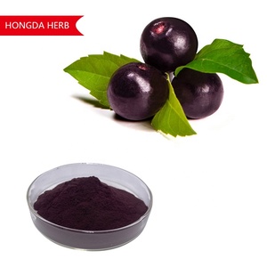 고순도 수용성 아사이 베리 과일 분말 동결 건조 과일 분말 유기농 아사이 베리 분말 - Product Image 2
