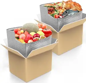 定制双层隔热纸板箱冷藏冷冻食品冷藏食品包装运输箱