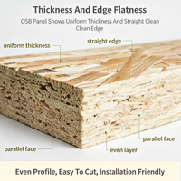 Panneau OSB3 (Oriented Strand Board) 4x8 pieds pour projets de modification de murs et de sols de maisons préfabriquées en conteneurs
