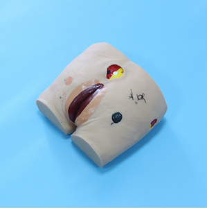Gelişmiş Decubitus ülser bakım simülatörü modeli Decubitus yara bakım modeli - Product Image 4