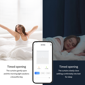 Motor de cadena Tuya Zigbee para persianas venecianas Mini Motor de accionamiento de ciegas controlado por Alexa para sala de estar balcón tecnología Bluetooth - Product Image 2