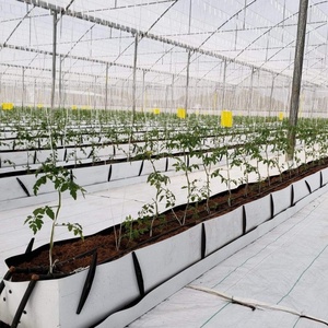 <span class=keywords><strong>Cultivo</strong></span> Hidropónico en Invernadero sin Suelo para Tomates, Hierbas y Fresas, Sistemas <span class=keywords><strong>de</strong></span> Bolsas <span class=keywords><strong>de</strong></span> <span class=keywords><strong>Cultivo</strong></span>, Canaletas <span class=keywords><strong>de</strong></span> <span class=keywords><strong>Cultivo</strong></span> - Product Image 2