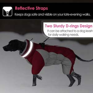 Moderne Herbst Winter Winter Hunde jacke Solide vierbeinige wind dichte warme Fleece verdickte Baumwolle Umwelt freundliche LovitWear Neues Design - Product Image 4