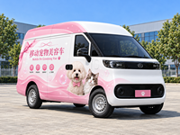 Véhicule mobile de toilettage pour animaux de petite taille, pour le bain et la coiffure, avec équipement professionnel