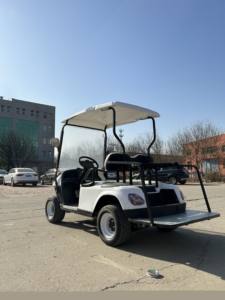 Fabrika doğrudan satış opsiyonel renk kulübü araba hızlı tek kişilik yetişkinler için <span class=keywords><strong>2</strong></span> Mini koltuk elektrikli Golf arabaları - Product Image 4