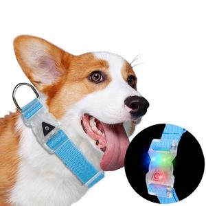 Collares LED de seguridad nocturna para mascotas, Collar de perro con Luz elegante para perros grandes, medianos y pequeños, Collar para mascotas - Product Image 1