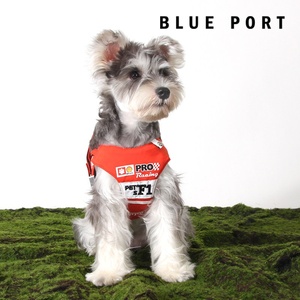 Arnés y Correa para <span class=keywords><strong>Mascotas</strong></span> Blue Port No Retráctiles para Pasear Perros y Gatos, Perros de Tamaño Pequeño a Mediano - Product Image 3