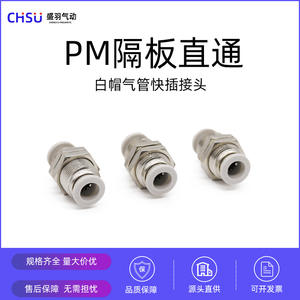 Connecteur pneumatique de haute qualité, blanc, à travers la plaque, droit, à connexion rapide, PM-06PM-08PM-10 - Product Image 3