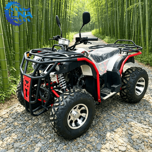Cuatrimotos Chinos LNA Estilo Utilitario 200cc <span class=keywords><strong>Precio</strong></span> Accesible Listos para Alquilar - Product Image 1