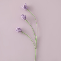 Vente en gros de petites fleurs en coton laitier faites à la main, crochetées, en forme de branche de fée, multicolores, pour la décoration de la maison, les mariages et les cadeaux